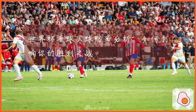 世界杯滚球买球赔率分析：如何打响你的胜利之战