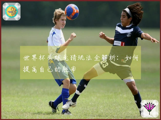 世界杯买球竞猜玩法全解析：如何提高自己的胜率
