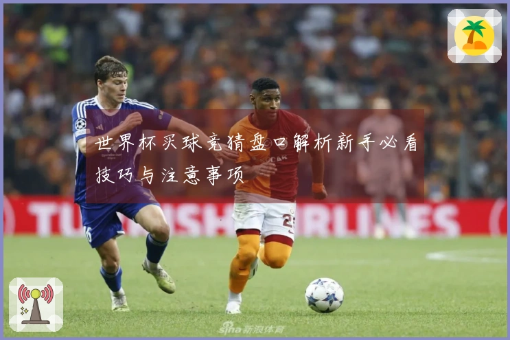 世界杯买球竞猜盘口解析新手必看技巧与注意事项