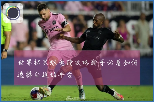 世界杯买球竞猜攻略新手必看如何选择合适的平台
