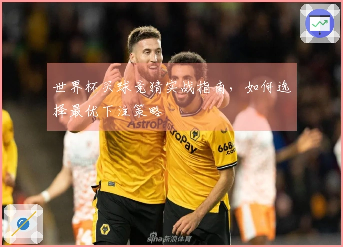 世界杯买球竞猜实战指南，如何选择最优下注策略