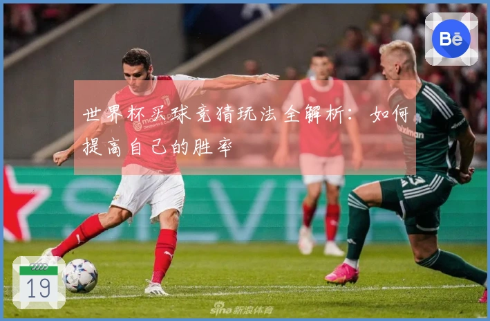 世界杯买球竞猜玩法全解析：如何提高自己的胜率