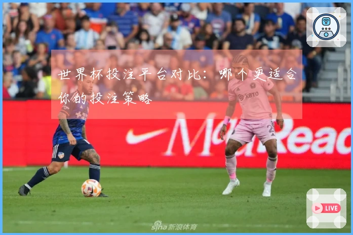 世界杯投注平台对比：哪个更适合你的投注策略