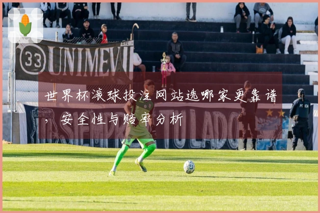 世界杯滚球投注网站选哪家更靠谱，安全性与赔率分析