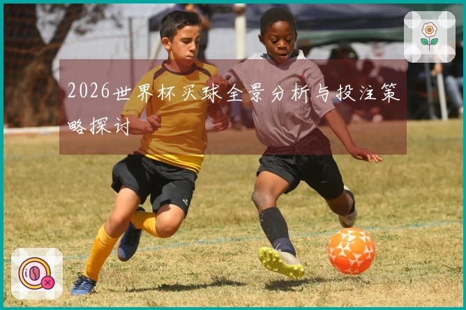 2026世界杯买球全景分析与投注策略探讨