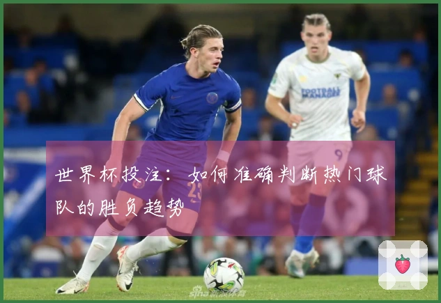 世界杯投注：如何准确判断热门球队的胜负趋势