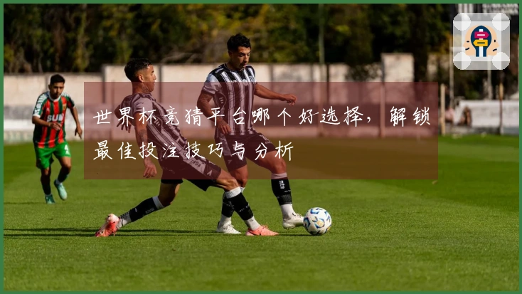 世界杯竞猜平台哪个好选择,解锁最佳投注技巧与分析