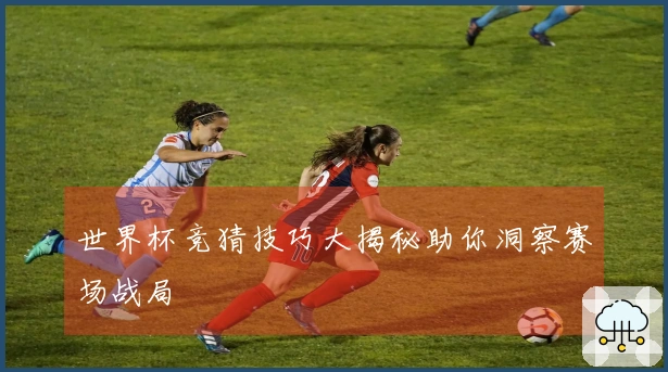 世界杯竞猜技巧大揭秘助你洞察赛场战局